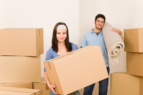 Packed boxes and furniture prepared for small removals in Penge